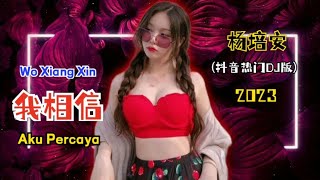 杨培安 - 我相信 (抖音热门DJ版) Wo Xiang Xin【Aku Percaya/ I Believe】- Lyrics Pinyin Terjemahan Indonesia