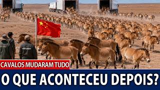 A China soltou cavalos em um deserto morto onde nada crescia — ninguém esperava o que veio depois