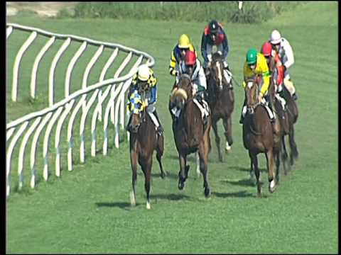 Galoppo 06/04/2016 - 3° corsa