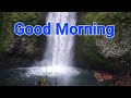 Good Morning Nature Videos Videos Short Video Nature Cute Videos