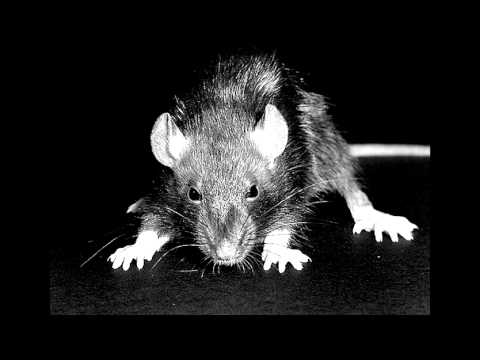 Butrón y Basto. Palabritas