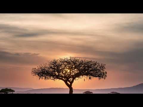 Deep Forest - Sweet Lullaby (Justin C & Justin Xara Remix)