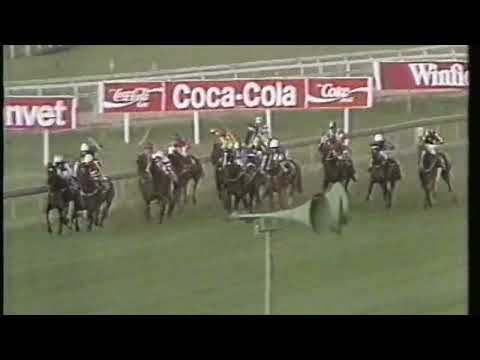 1993 Winfield Classic