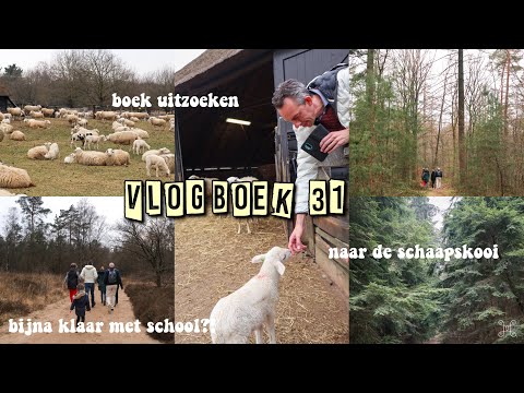 NAAR DE SCHAAPSKOOi & BiJNA KLAAR MET SCHOOL || vlogboek 31 || famderooij
