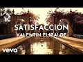Valentín Elizalde - Satisfacción (Visualizer)
