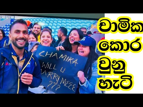 චාමික මාව බදිනවද?  Chamika Karunarathna will u marry me / srilanka vs ireland t20 match highlights