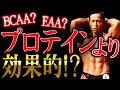 【プロテインの上位互換!?】消化不要で筋肉に直接届く?体育大学准教授が説く!BCAA・EAAはプロテインより優れているのか