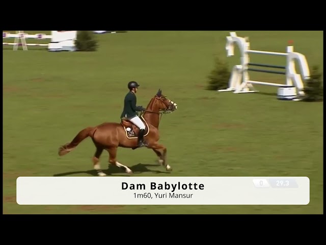 Embryo Emerald x Dollar du Murier