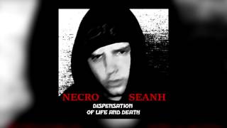 Necro - Dispensation of Life and Death (Seanh Remix)