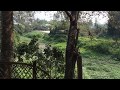 Village Bosonto Kaler Grambangla বসন্তকালের গ্রামবাংলা
