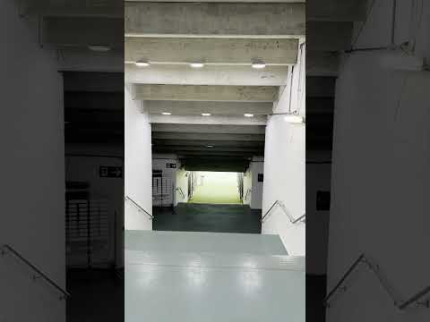 TOUR PELA ARENA FONTE NOVA! #shorts