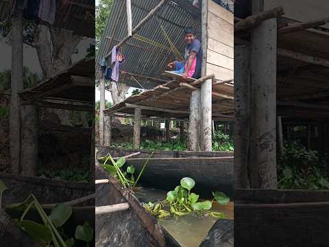 VISITANDO A LOS INDÍGENAS WARAOS DE DELTA AMACURO #indígenas #indigenous #paseo #rio #fyp #tucupita