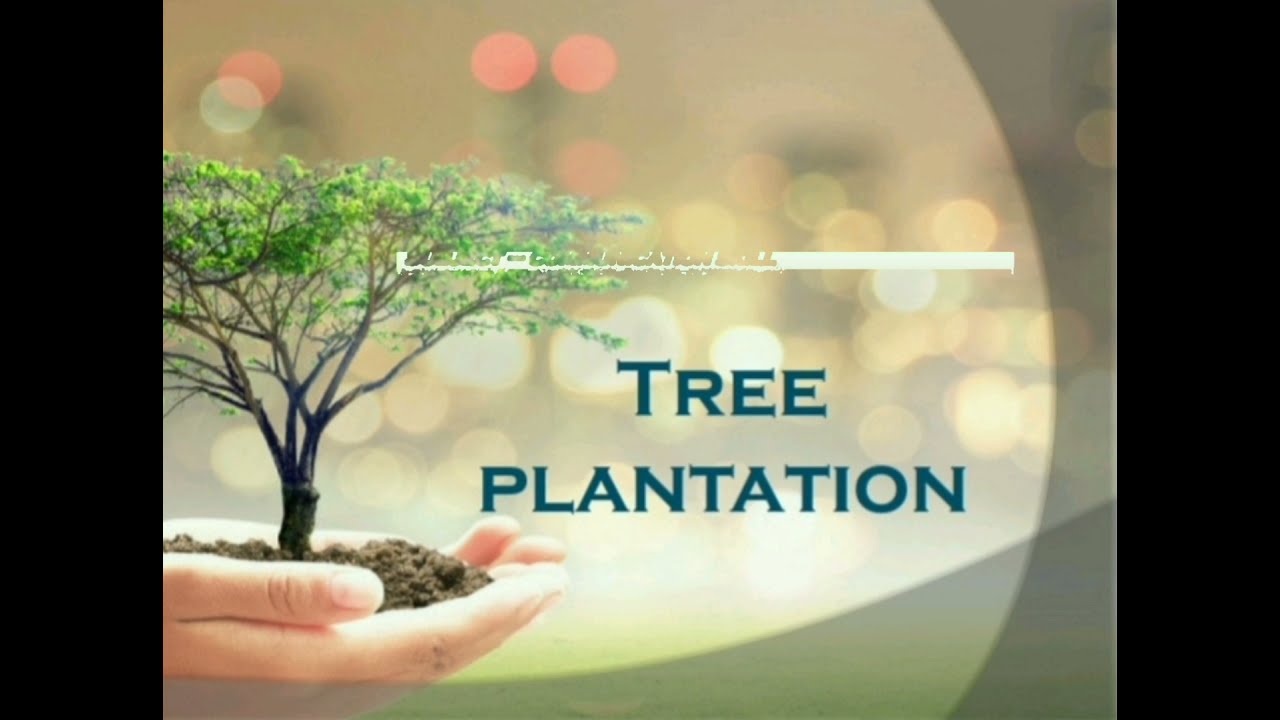 Tree  plantation powerpoint presentation (PPT) 🌳