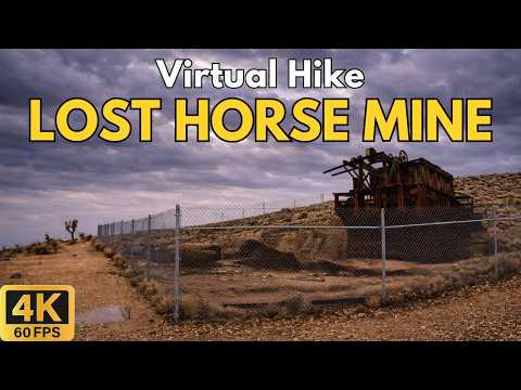4K Treadmill Hike | Lost Horse Mine Trail Joshua Tree (Out & Back) | 72 Minute Foggy Desert Walk