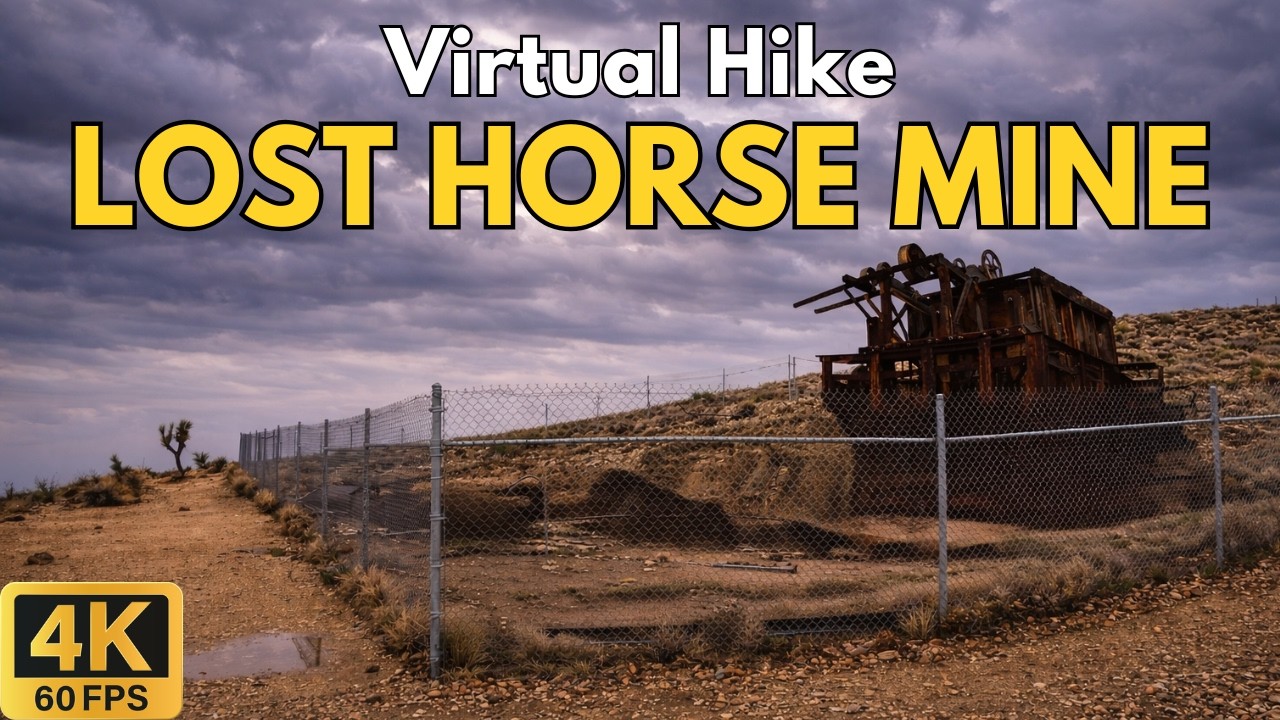 4K Treadmill Hike | Lost Horse Mine Trail Joshua Tree (Out & Back) | 72 Minute Foggy Desert Walk