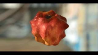 Disaster In The Universe - Curiosity (Ficture Remix)