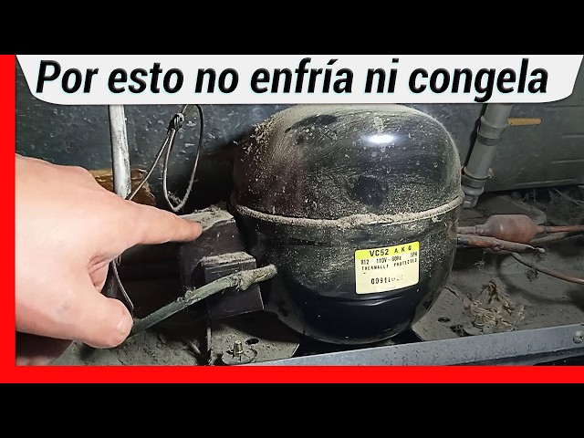 Vídeo relacionado con Desconcertado 5611 im-n para frigor-fico de peluche - Moose