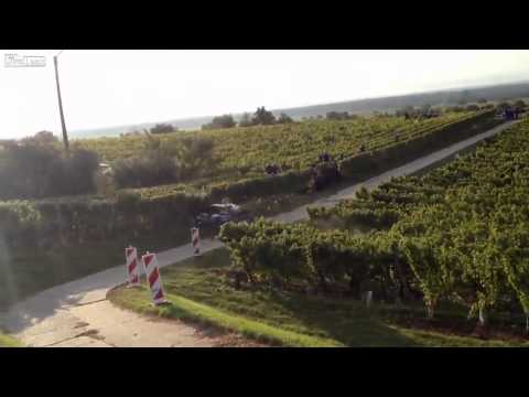 Petter Solberg goes off in the vineyards crashes into pole