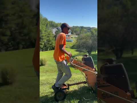 Scag walk behind mowing #follow #subscribe #likeforlikes #oddlysatisfying #fordf150 #grass