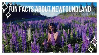 WHY YOU SHOULD MOVE TO NEWFOUNDLAND - INTERESTING FACTS ABOUT NEWFOUNDLAND AND LABRADOR