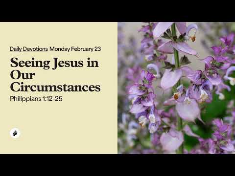 Seeing Jesus in Our Circumstances – Daily Devotional
