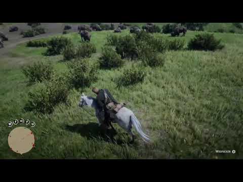 Red Dead Redemption 2: Was macht das Hirschgeweih-Amulett? (Legendärer Hirsch)