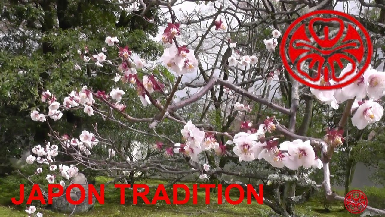 Japon Tradition - Kyoto Parc Impérial - Palais Sento - Le jardin