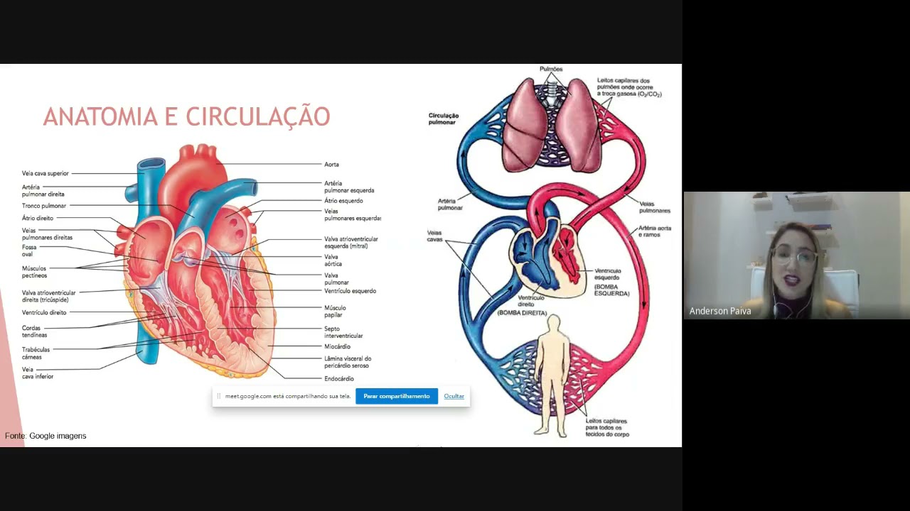 Cardiopatia Congênita - Dra Jéssica Alves