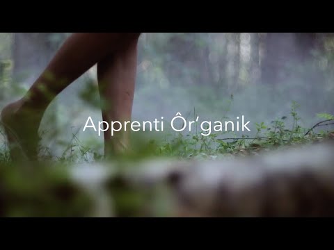 Vignette de la vidéo YouTube