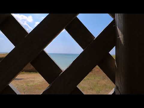 Footage of beach view