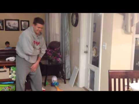 Not the smartest dog!