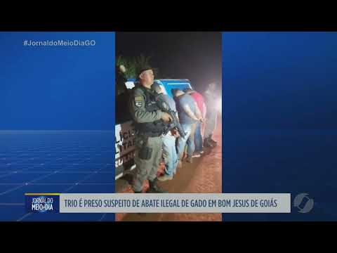Três homens são presos por abate ilegal de gado em Bom Jesus de Goiás