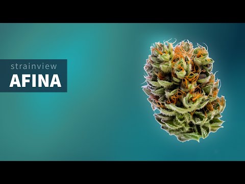 Afina - StrainView