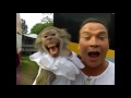 Funny Monkey Videos