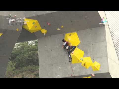 2014 IFSC Mokpo Climbing World Cup(Korea) -Men's lead (Ramón JULIAN PUIGBLANQUE_ESP)