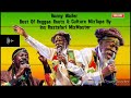 Bunny Wailer Best Of Reggae Roots & Culture MixTape By Ins Rastafari MixMaster (August 2021)