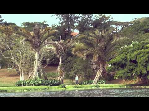 DJ Merlon ft Black Motion and Mondli Ngcobo   Tale of the Monkeys Official Music Video