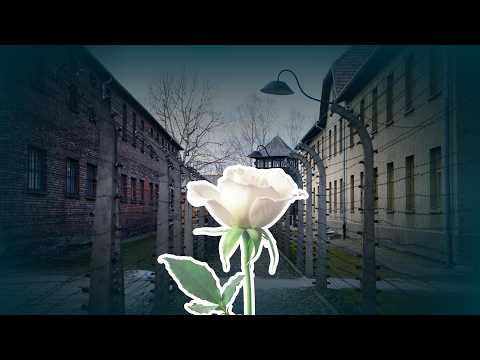 Ritualisiertes Gedenken? Erinnerungskultur in der Kritik | #unterdenlinden