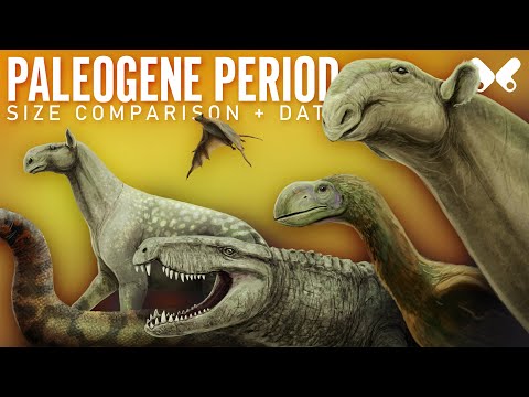PALEOGENE PERIOD. Animals Size Comparison and Data