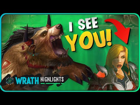 The Rogue THOUGHT He Was Invisible - World of Warcraft: Classic