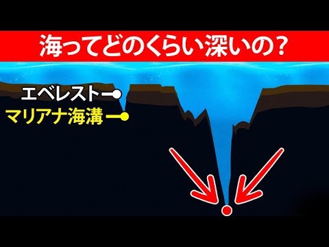 陸生ラン:最も美しい在来種 トピックス