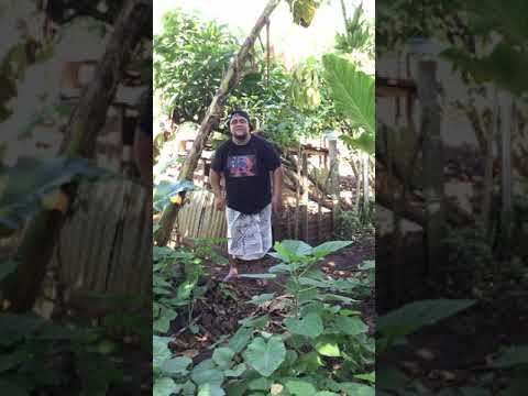 ShortyKap - Malolosi a Fafine (Music Video)