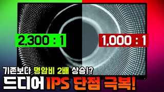 퀘이사존