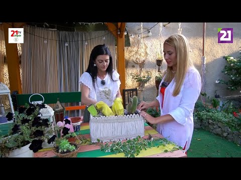 Nőidő 48.Adás - Darcsi Karolina 2.Rész (2020.10.03.)