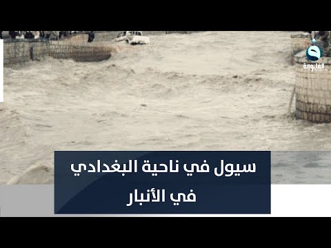 شاهد بالفيديو.. سيول في ناحية البغدادي في الأنبار بسبب غزارة الأمطار فجر اليوم