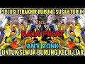 MP3 RAJA PIKAT SUARA PIKAT 100 AMPUH UNTUK SEMUA BURUNG KECIL