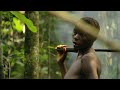 Congo The Untamed Heart Wildest Africa 4K