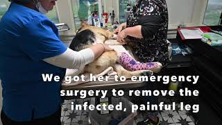 Coco: Broken No Longer