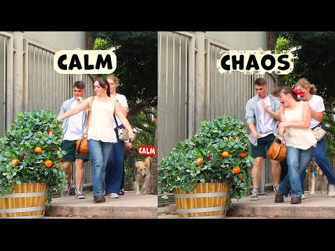 Bushman Prank: Well that Escalated QUICKLY..