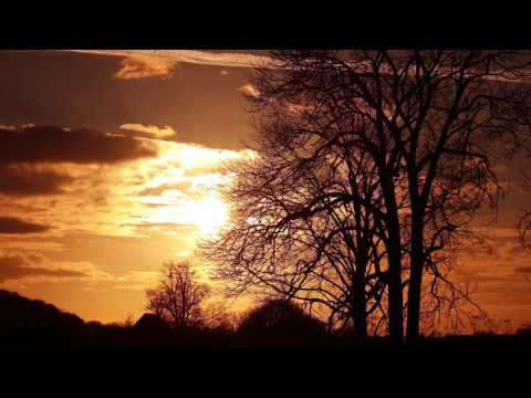 Wonderful Wangen bei Olten 2008-2015, Switzerland